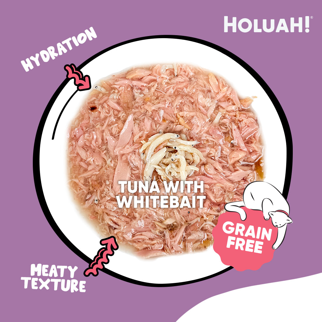 Holuah! Gravy Cat Canned Food 80g – Tuna Recipes
