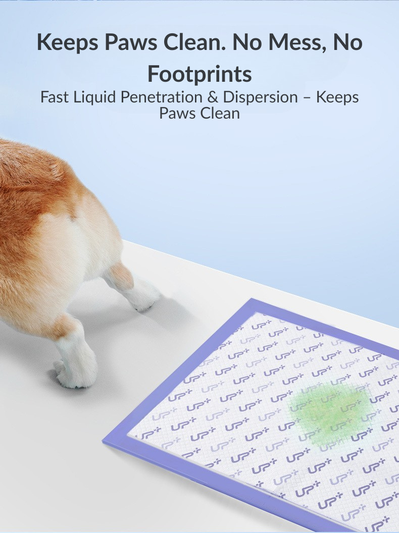 UP+ High Absorb Pee Pads – S Size | Clearance