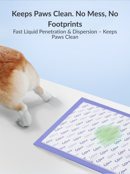 UP+ High Absorb Pee Pads – S Size | Clearance