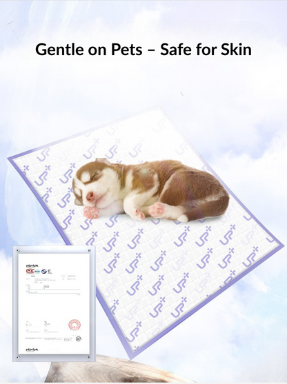 UP+ High Absorb Pee Pads – S Size | Clearance