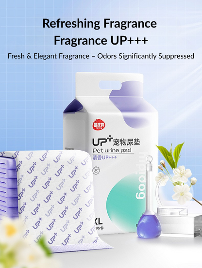 UP+ High Absorb Pee Pads – S Size | Clearance