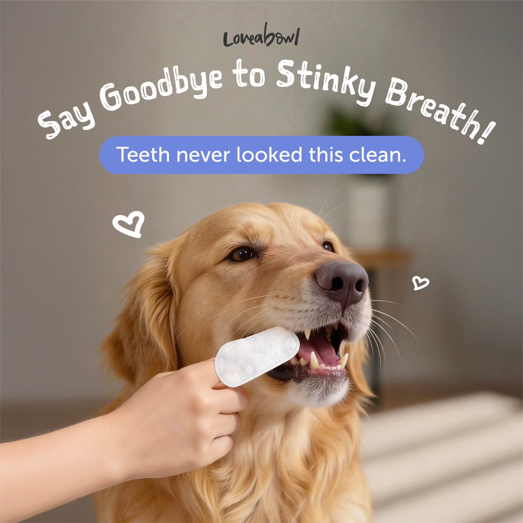 Loveabowl Clean-A-Tooth Dental Wipes for Dogs – Rosemary, 50pcs