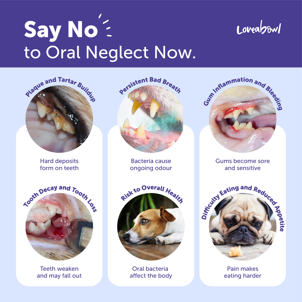 Loveabowl Clean-A-Tooth Dental Wipes for Dogs – Rosemary, 50pcs