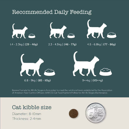 Boneve Earthmade Grain-Free Dry Cat Food – All Life Stages