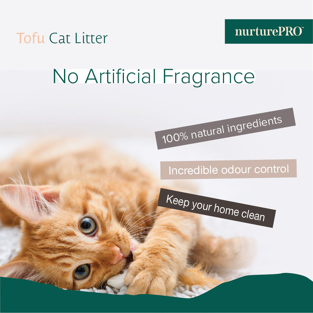 NurturePRO Tofu Cat Litter 7L | Fast Clumping & Low Dust