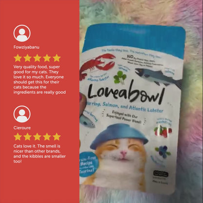 Loveabowl Grain-Free Dry Cat Food 150g – Trial Pack